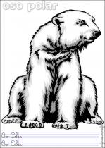 coloriage-ours-polaire-2